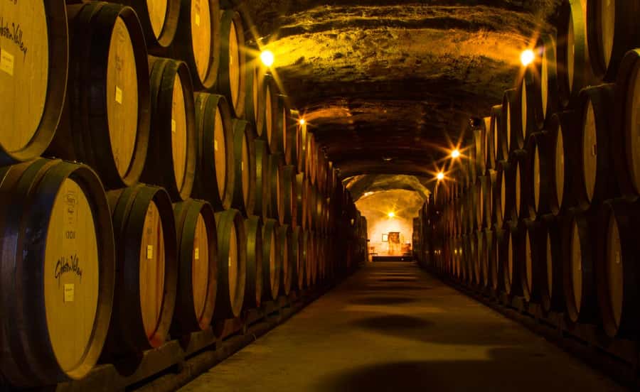 Queenstown: Classic Wine Tour - Final call: a practical way to taste Gibbston
