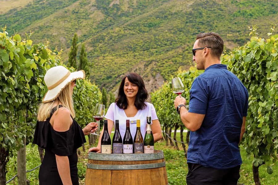 Queenstown: Classic Wine Tour - Three winery stops, three chances to taste Gibbston