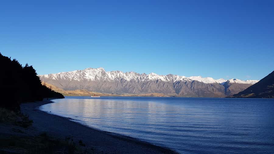 Queenstown: Craft Beer Brewery Tour with Lunch - Is $110 good value?