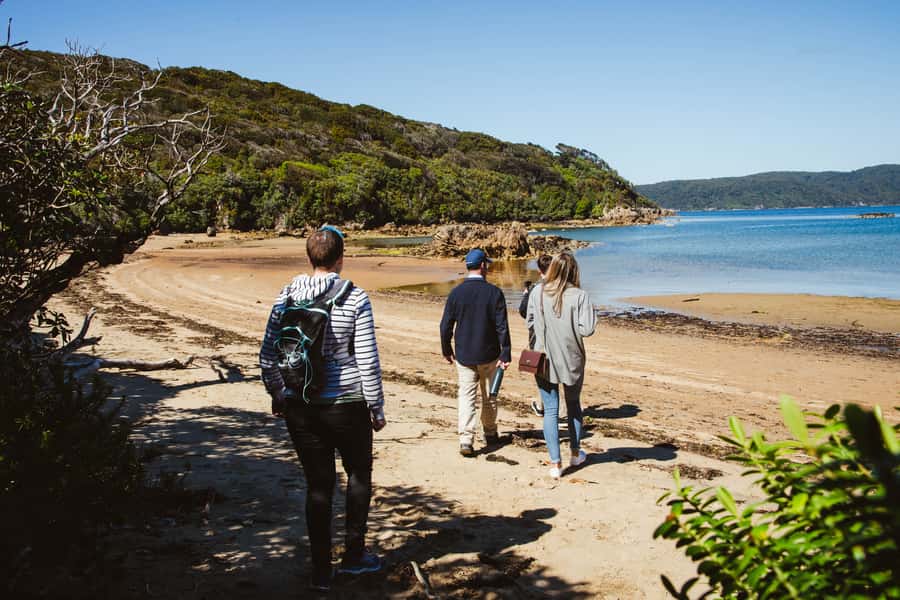Queenstown: Day Trip to Stewart Island via Scenic Flight - Is $459 good value for one day?
