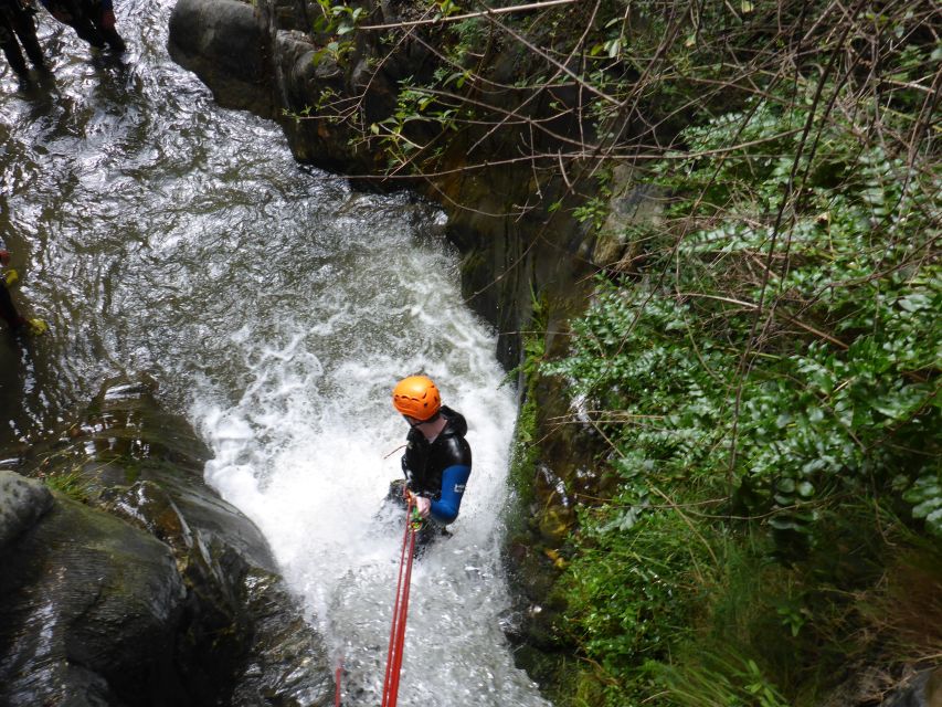 Queenstown: Gibbston Valley Half-Day Canyoning Adventure - Who should book this Gibbston Valley adventure?