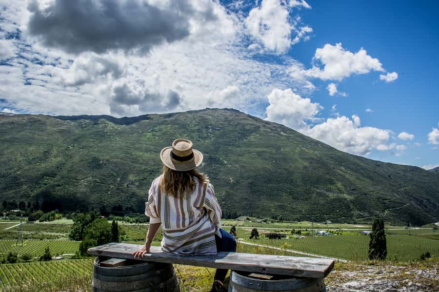 Queenstown & Gibbston Valley: Hop-On Hop-Off Wine Tours - Key points to know before you book