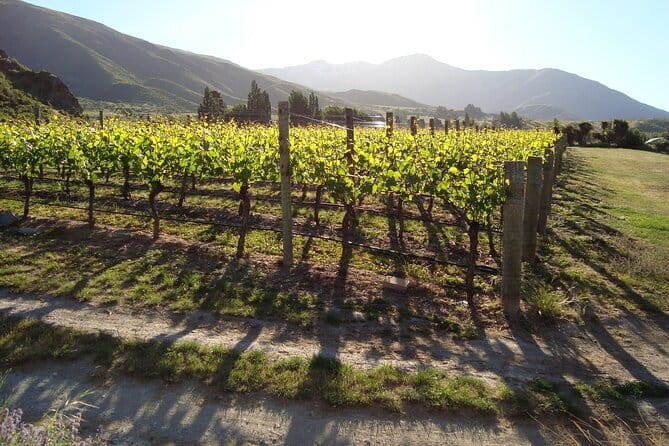 Queenstown Gin and Whiskey tours - What $462 means for value