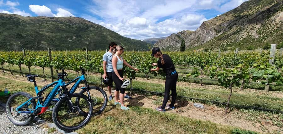 Queenstown: Guided E-Bike Tour with Winery Visits & Tastings - Key points to know before booking