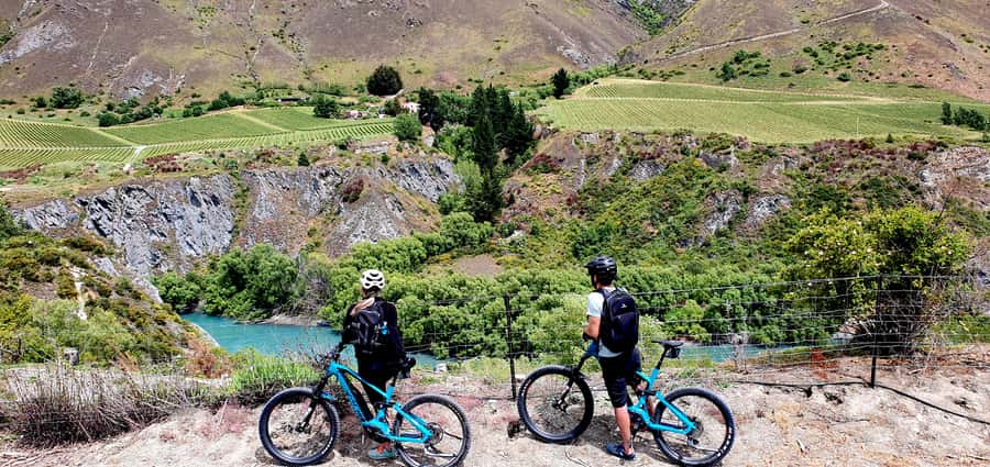 Queenstown: Guided E-Bike Tour with Winery Visits & Tastings - Why the ride-to-wine format works