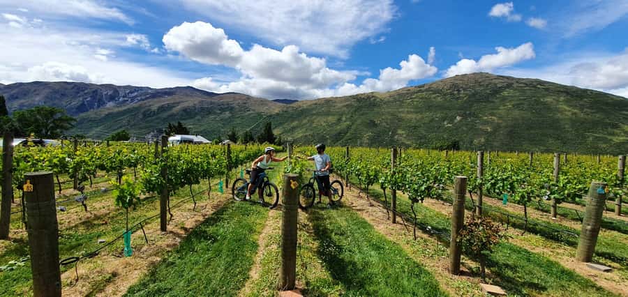 Queenstown: Guided E-Bike Tour with Winery Visits & Tastings - The Kawarau Bridge and a useful history stop