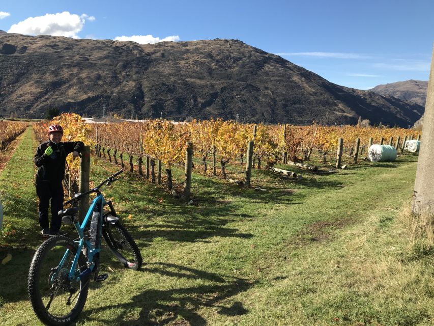 Queenstown: Guided E-Bike Tour with Winery Visits & Tastings - Gibbston Valley and the final hour of riding