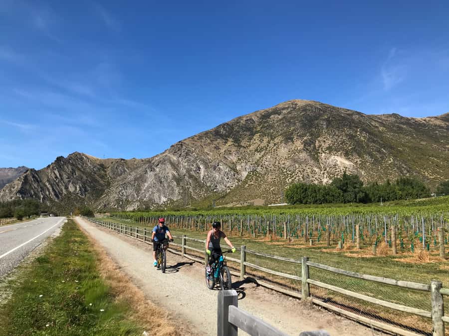 Queenstown: Guided E-Bike Tour with Winery Visits & Tastings - Transport, timing, and group size