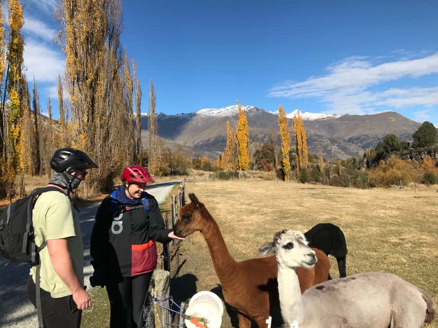 Queenstown: Guided E-Bike Tour with Winery Visits & Tastings - Arrowtown and the first 105 minutes on two wheels