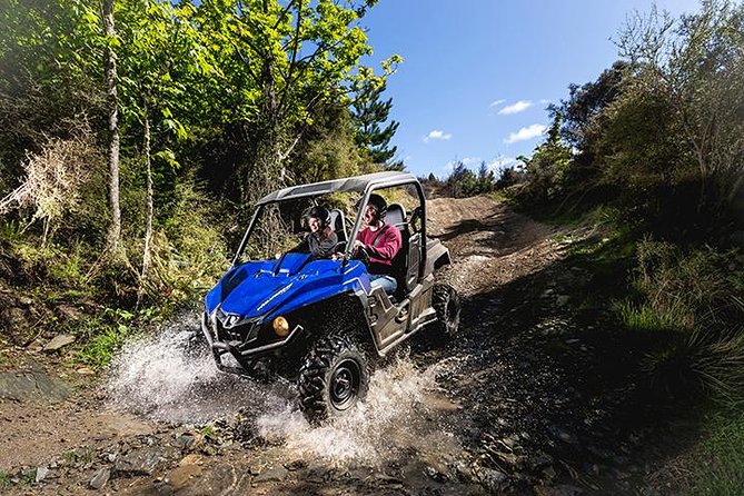 Queenstown Guided Self-Drive Buggy Tour - From central Queenstown to the bush tracks
