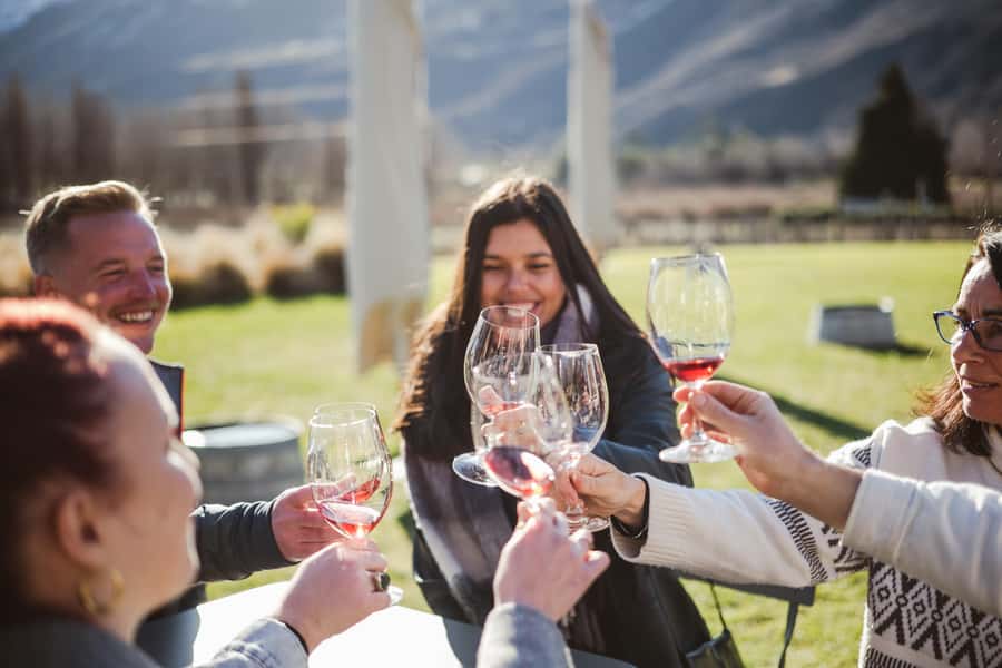 Queenstown: Helicopter & Wine Tasting Tour - What the price includes and what it does not
