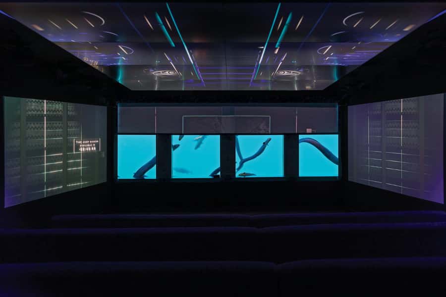 Queenstown: Hidden Underwater Theatre Experience - Entering the underwater observatory beneath Lake Wakatipu