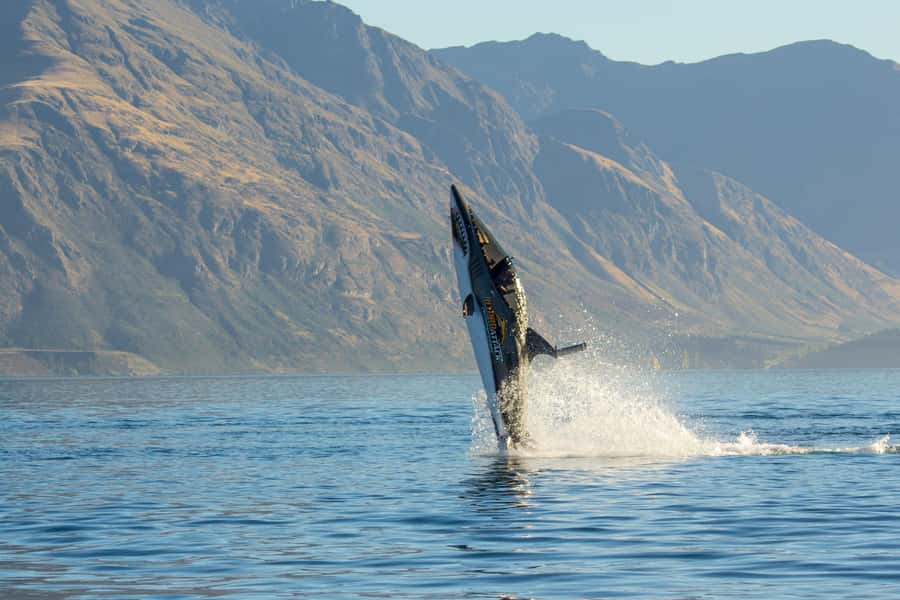 Queenstown: Hydro Attack Shark Ride - Then the shark slips below the surface