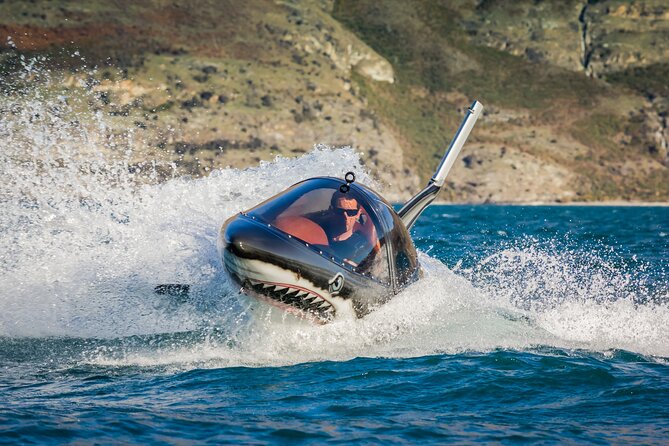 Queenstown Hydro Attack Shark Ride Adventure - The first rush: speed across the surface