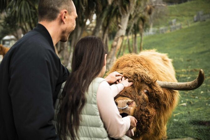 Queenstown Lake Cruise and Walter Peak Farm Adventure - Key points to know before you go
