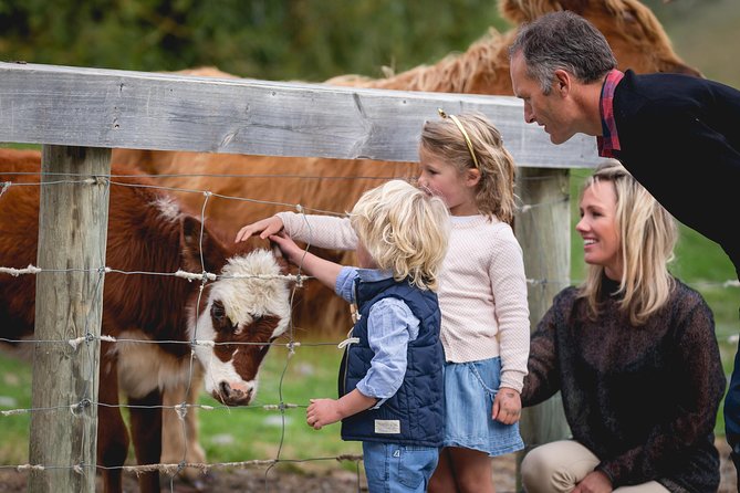 Queenstown Lake Cruise and Walter Peak Farm Adventure - What the three-and-a-half-hour schedule feels like