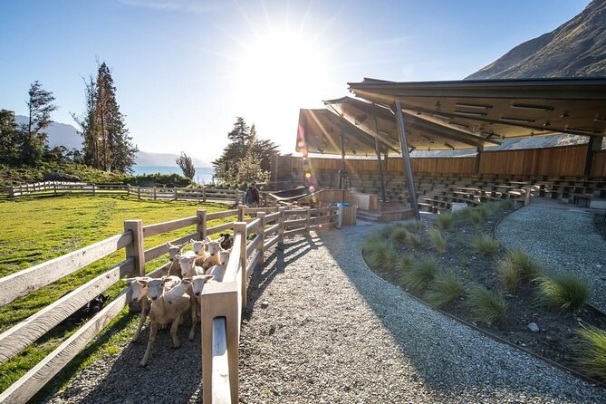 Queenstown Lake Cruise and Walter Peak Farm Adventure - Practical details that can affect your day