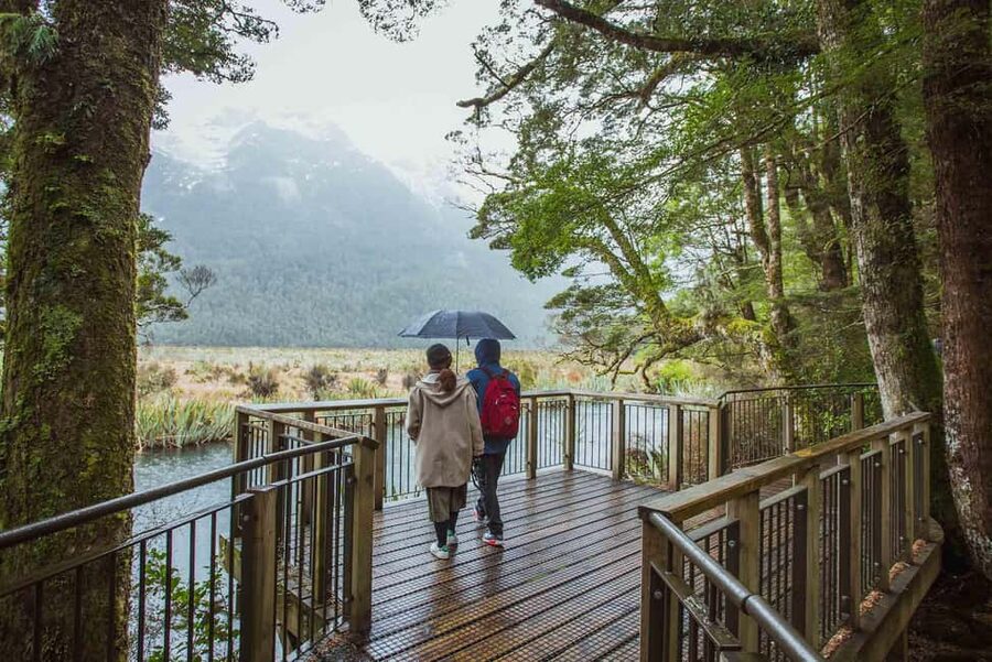 Queenstown: Milford Sound Coach & Cruise Full-Day Trip - Practical preparation for the day