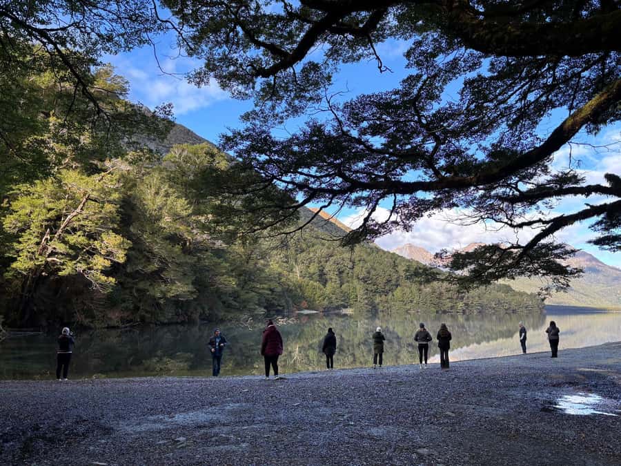 Queenstown: Milford Sound Small-Group Tour w Cruise & Lunch - Who should book this Milford Sound tour?