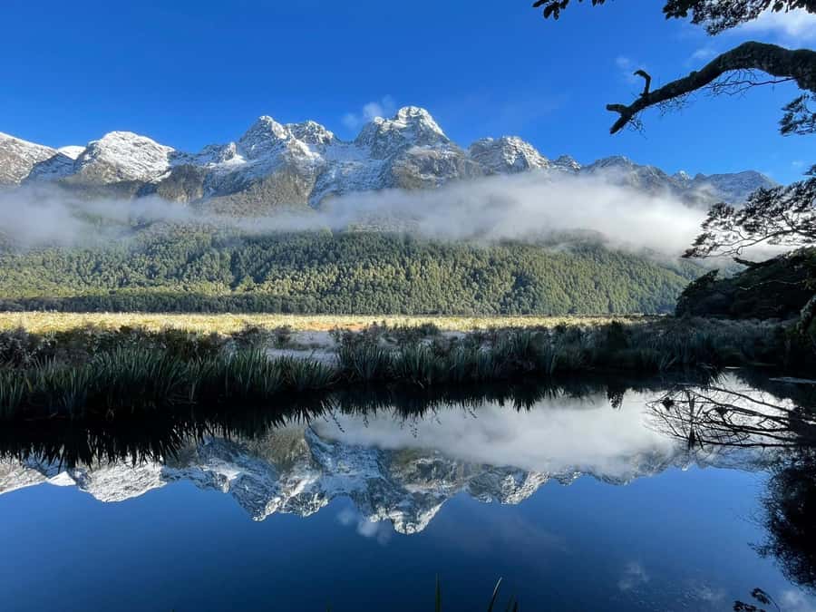 Queenstown: Milford Sound Small-Group Tour w Cruise & Lunch - Is $208 good value?