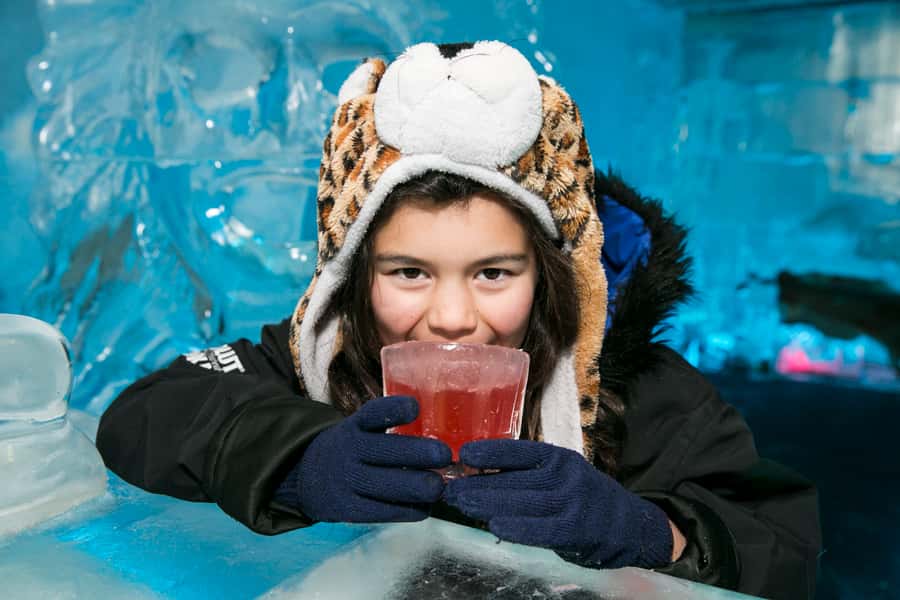 Queenstown: Minus 5 Ice Bar Experience with Drink Options - Starting at Steamer Wharf
