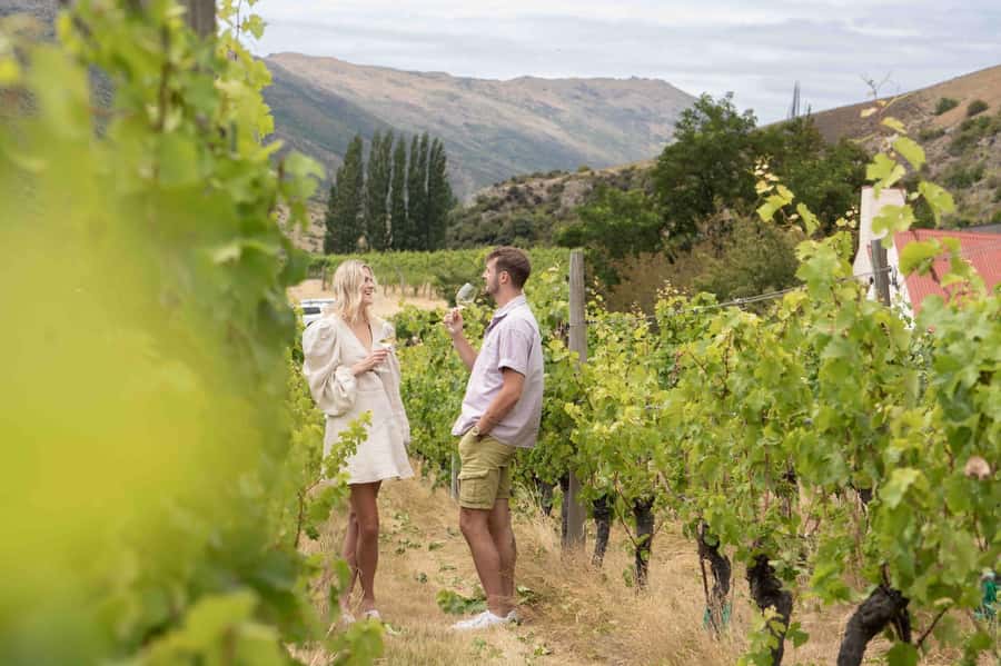 Queenstown: Original Premium Half-Day Gibbston Wine Tour - Why Gibbston Makes a Good Half-Day Excursion