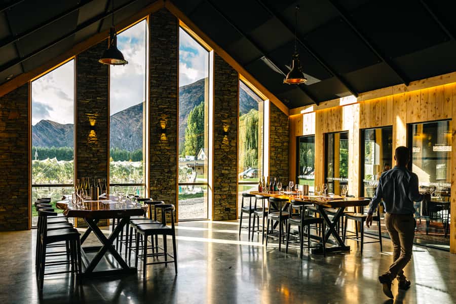 Queenstown: Original Premium Half-Day Gibbston Wine Tour - What the $118 Price Really Buys