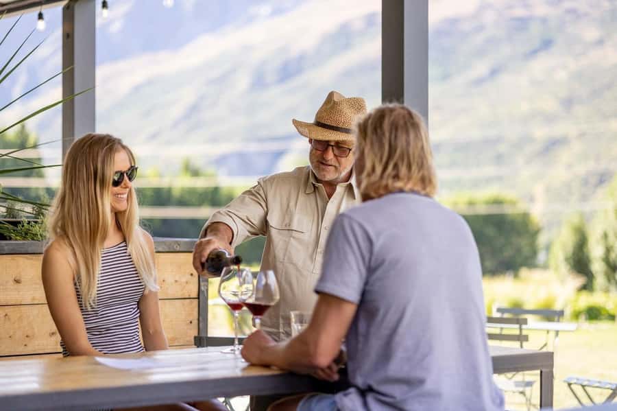Queenstown: Original Premium Half-Day Gibbston Wine Tour - First Two Gibbston Tastings: Compare More Than You Sip