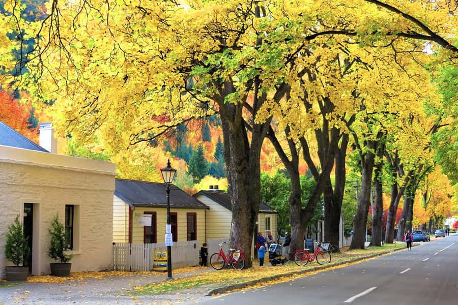 Queenstown: Premium Full-Day Central Otago Wine Tasting Tour - Carrick Winery and a flexible lunch hour
