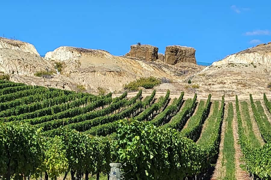 Queenstown: Premium Full-Day Central Otago Wine Tasting Tour - Te Kano Estate and the Bannockburn finish