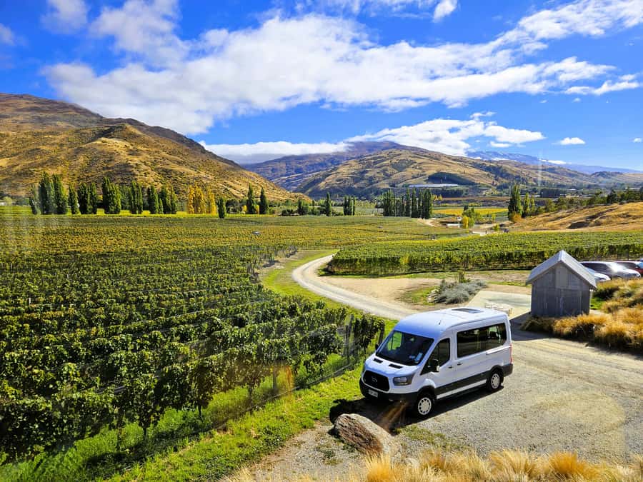 Queenstown: Premium Full-Day Central Otago Wine Tasting Tour - Starting at Camp Street in Queenstown
