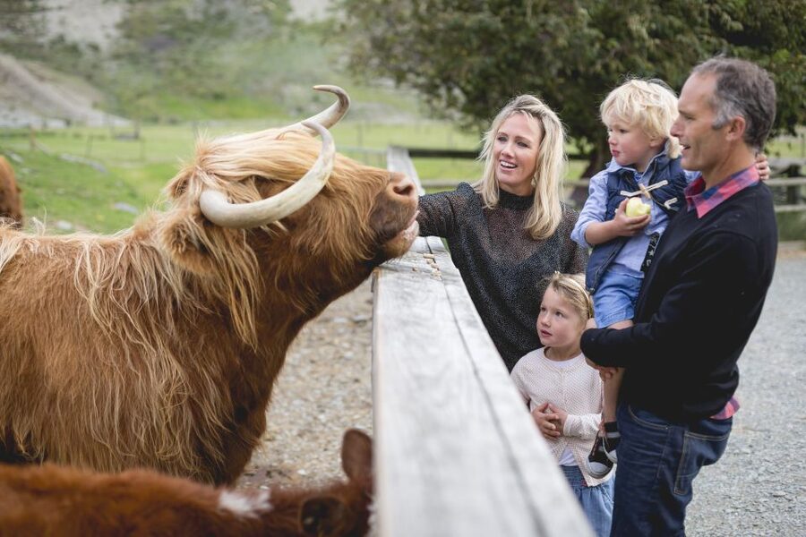 Queenstown: Queenstown Lake Cruise and Walter Peak Farm Tour - Timing, weather, and comfort