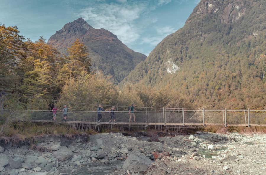 Queenstown: Routeburn Track Guided Full-Day Walk or Half Day - Key points at a glance