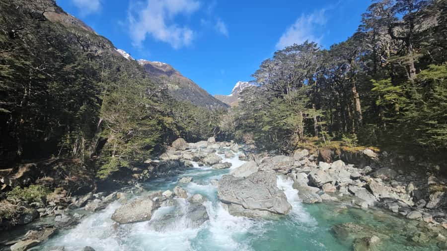 Queenstown: Routeburn Track Guided Full-Day Walk or Half Day - Choosing between the 1.5-hour and seven-hour walks