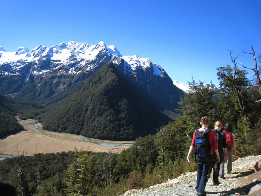 Queenstown: Routeburn Track Guided Full-Day Walk or Half Day - Crossing the Routeburn River
