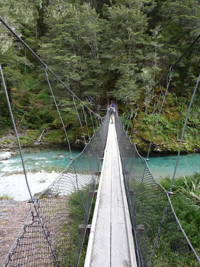Queenstown: Routeburn Track Guided Full-Day Walk or Half Day - Beech forest, alpine gardens, and reflective tarns