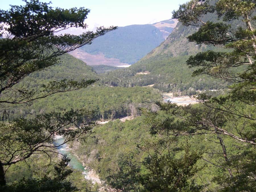 Queenstown: Routeburn Track Guided Full-Day Walk or Half Day - Climbing toward Falls Hut