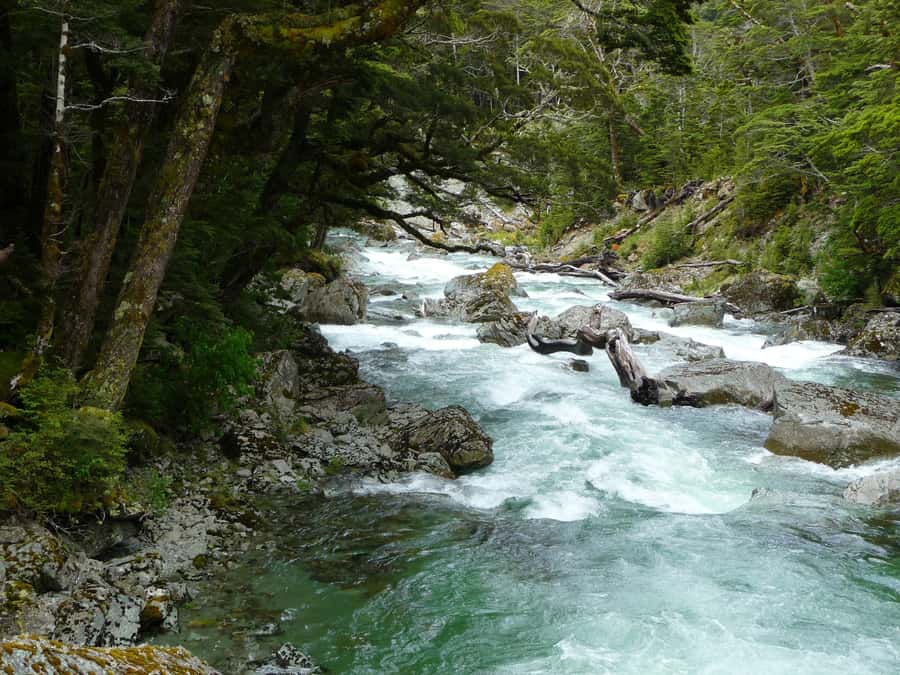 Queenstown: Routeburn Track Guided Full-Day Walk or Half Day - The Queenstown to Glenorchy drive