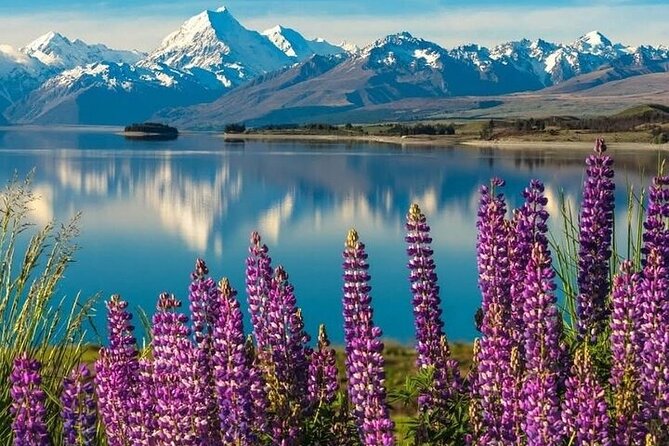 Queenstown to Christchurch One Way Tour Via Lake Tekapo & Mt Cook - Hooker Valley Track: a short taste of walking