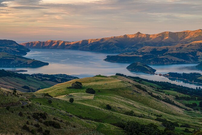 Queenstown to Christchurch via Mt Cook (1 way) (Small Group) - Omarama and the Mackenzie district