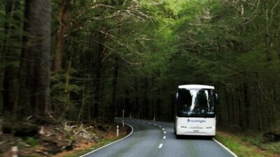 Queenstown to Franz Josef Day Tour