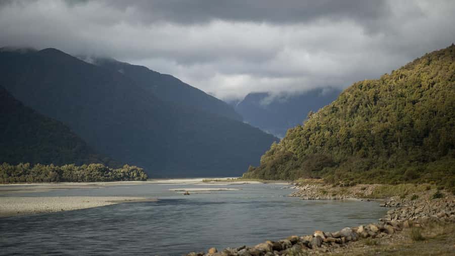 Queenstown to Franz Josef Day Tour - Through Haast Pass and into native forest