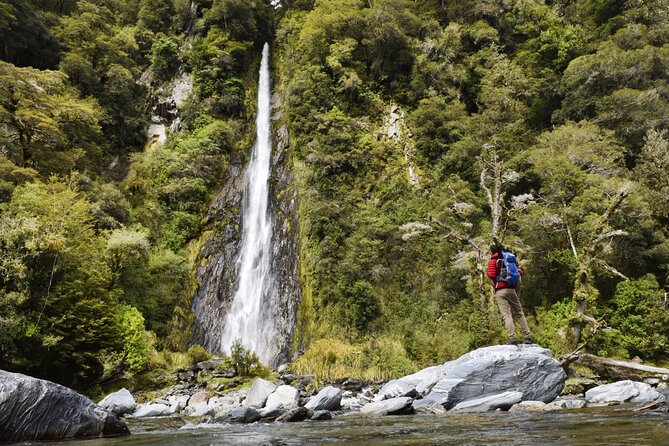 Queenstown to Franz Josef via Wanaka Small Group Day Tour (1-Way) - Thunder Creek Falls and Haast Pass scenery