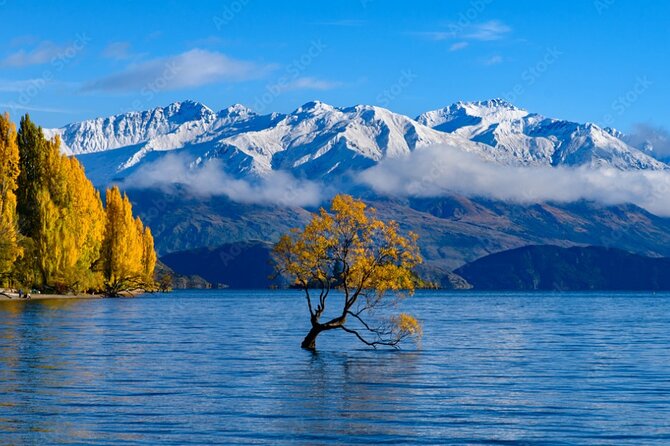 Queenstown to Franz Josef via Wanaka Small Group Day Tour (1-Way) - Ship Creek and the Tasman Sea