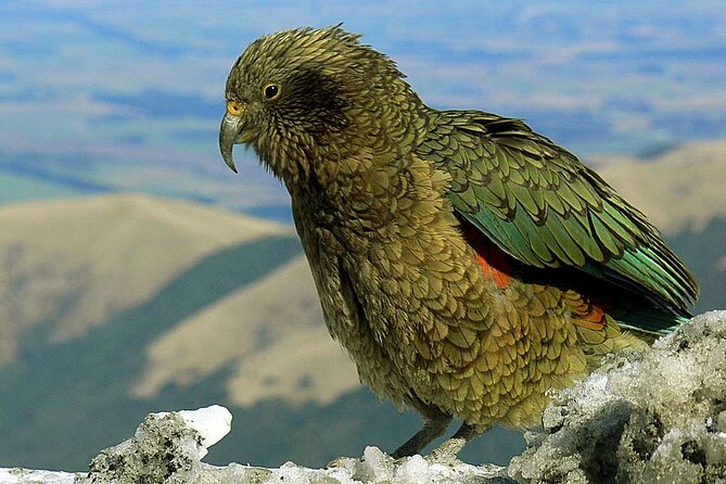 Queenstown to Lake Tekapo via Mt Cook One-Way Small Group Tour - The final run to Lake Tekapo
