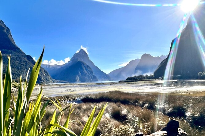 Queenstown to Te Anau via Milford Sound inc Cruise & Lunch - Eglinton Valley feels built for wide-screen scenery