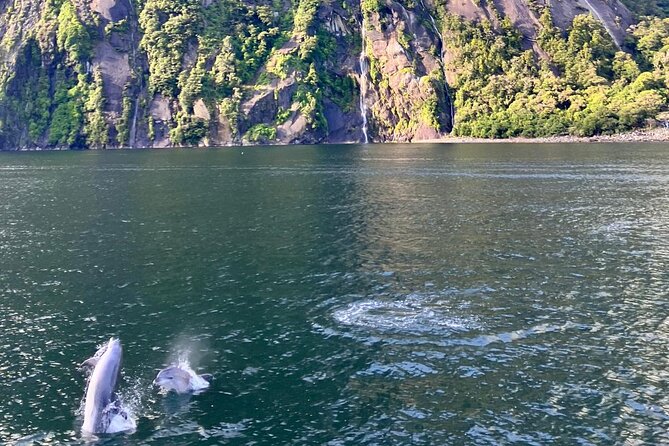 Queenstown to Te Anau via Milford Sound inc Cruise & Lunch - Mirror Lakes reward a short walk