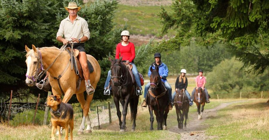 Queenstown: Walter Peak Horse Trek & Queenstown Lake Cruise - Why the boat ride is half the experience