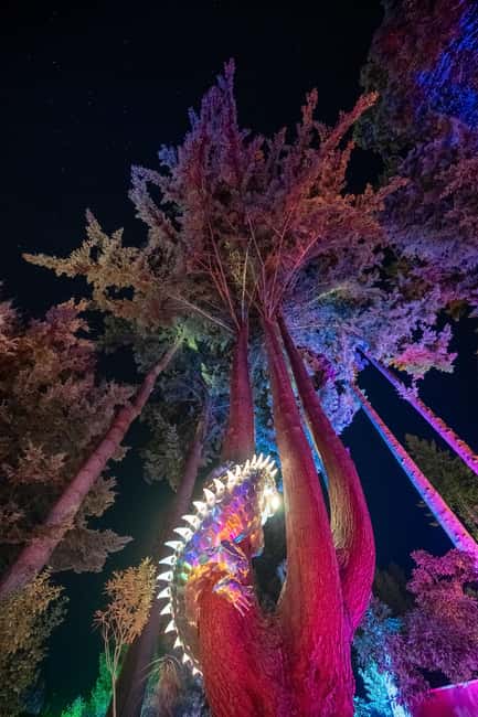 Queenstown: Whimsical Sensory Night Walk at LUMA Enchanted - Key points to know before you go
