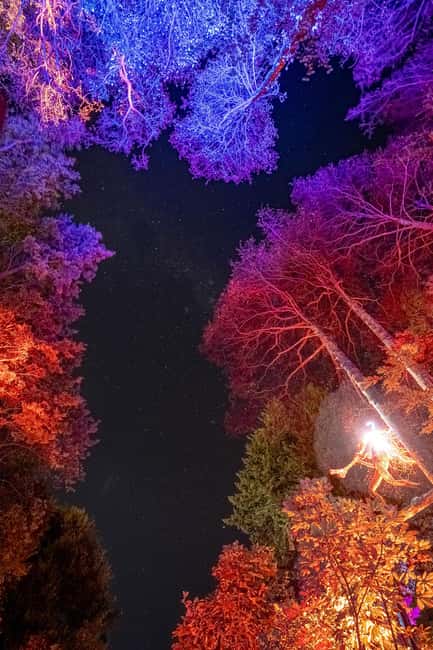 Queenstown: Whimsical Sensory Night Walk at LUMA Enchanted - Light, sound, and touch keep the walk moving